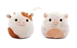 Ronnie (Rosie Flip)