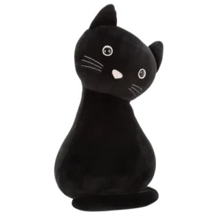 Lucky Black Cat