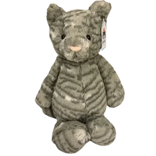 Bashful Tabby Kitten