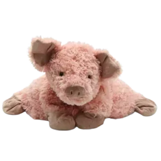 Truffles Pig