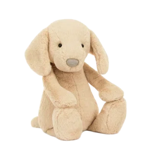 Bashful Luxe Puppy Orlando