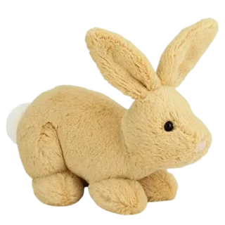 Bouncy Bop Bunny