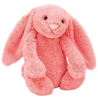 Bashful Coral Bunny