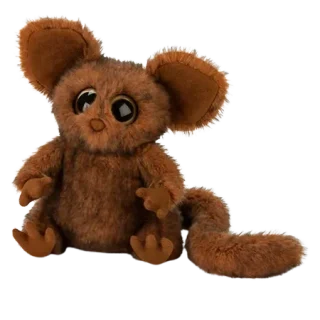 Nocturne Bush Baby