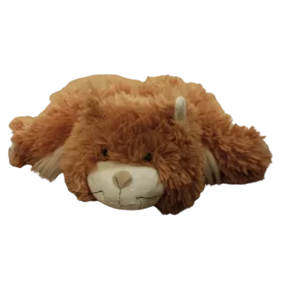 Truffles Ginger Cat
