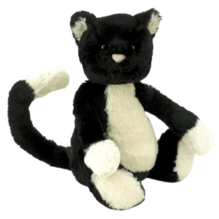 Bashful Black & White Cat