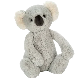 Original Bashful Koala