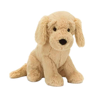 Tilly Golden Retriever