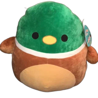 Avery (Black-Eyed)
