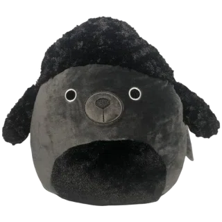 Jettward