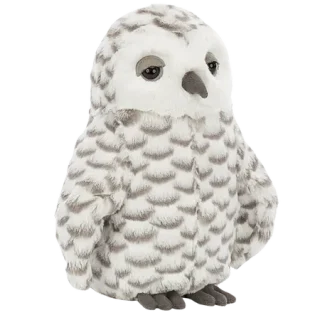 Woodrow Owl