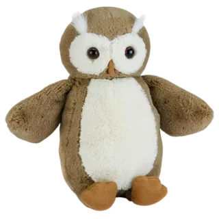 Bashful Barn Owl