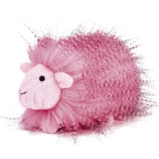 Rose Gorgeous Guinea Pig