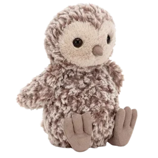 Torvill Owl Chick