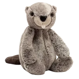 Bashful Beaver