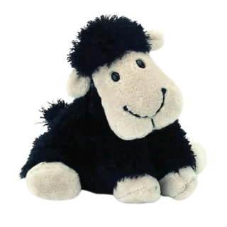 Black Truffles Sheep