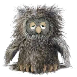 Orlando Owl