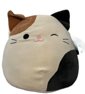 Cam (Winking)