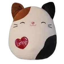 Cam (Valentine's)