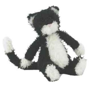 Camelia Kitten