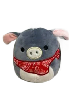 Jason (Fall 2022)