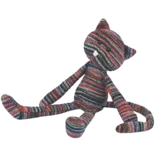 Troubadour Kitten