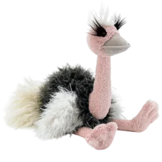 Orla Ostrich