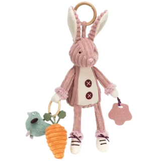 Cordy Roy Bunny Activity Toy