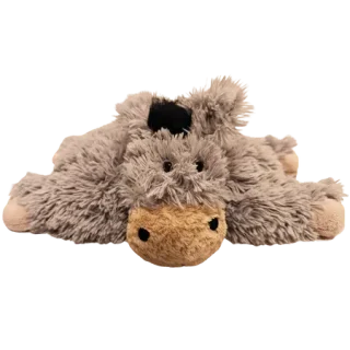Truffles Donkey