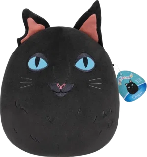 The Cat