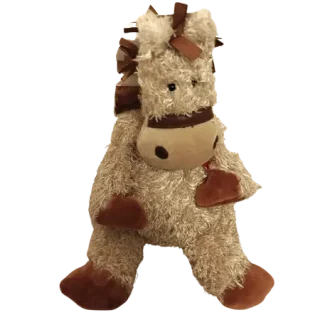 Bunglie Pony