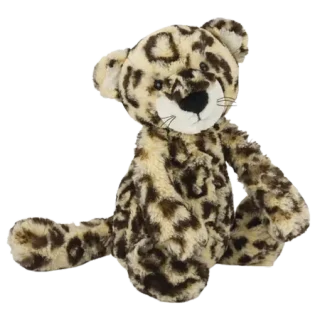 Bashful Leopard