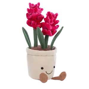 Amuseable Hyacinth
