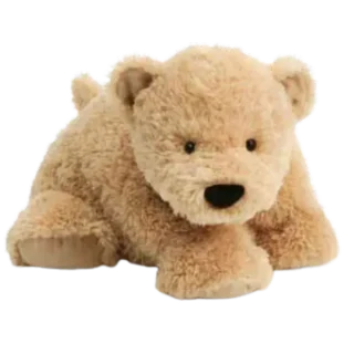 Truffles Bear