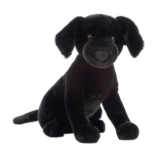 Pippa Black Labrador