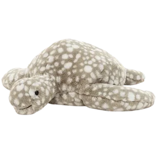 Shelby Sea Turtle