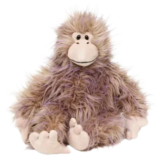 Shaggy Baggy Monkey