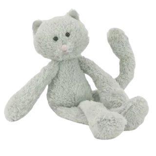 Chimboo Kitten