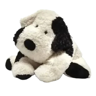 Truffles Spot Dog