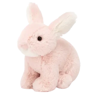 Minilop Rose Bunny