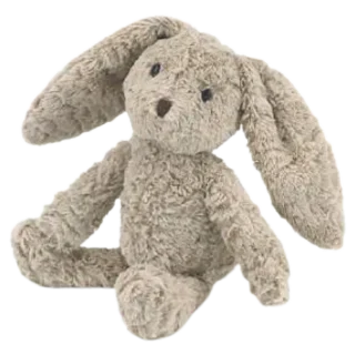 Pippin Bunny