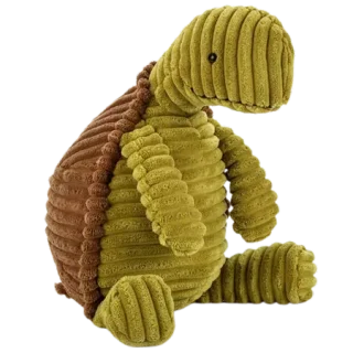 Cordy Roy Tortoise