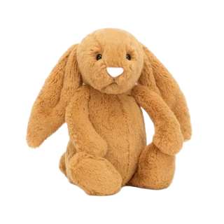 Bashful Golden Bunny