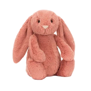 Bashful Sorrel Bunny