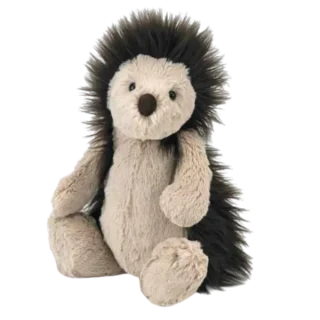 Woodland Hedgehog