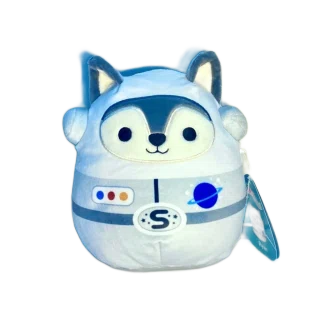 Ryan (Astronaut)