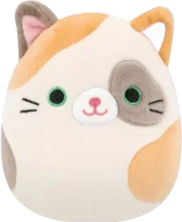 Suki