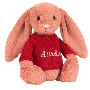 Bashful Sorrel Bunny with Personalised Red Jumper