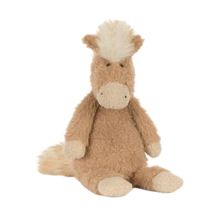 Canterneigh Pony