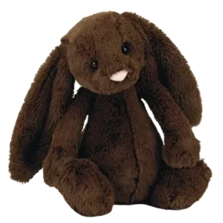 Bashful Chocolate Bunny